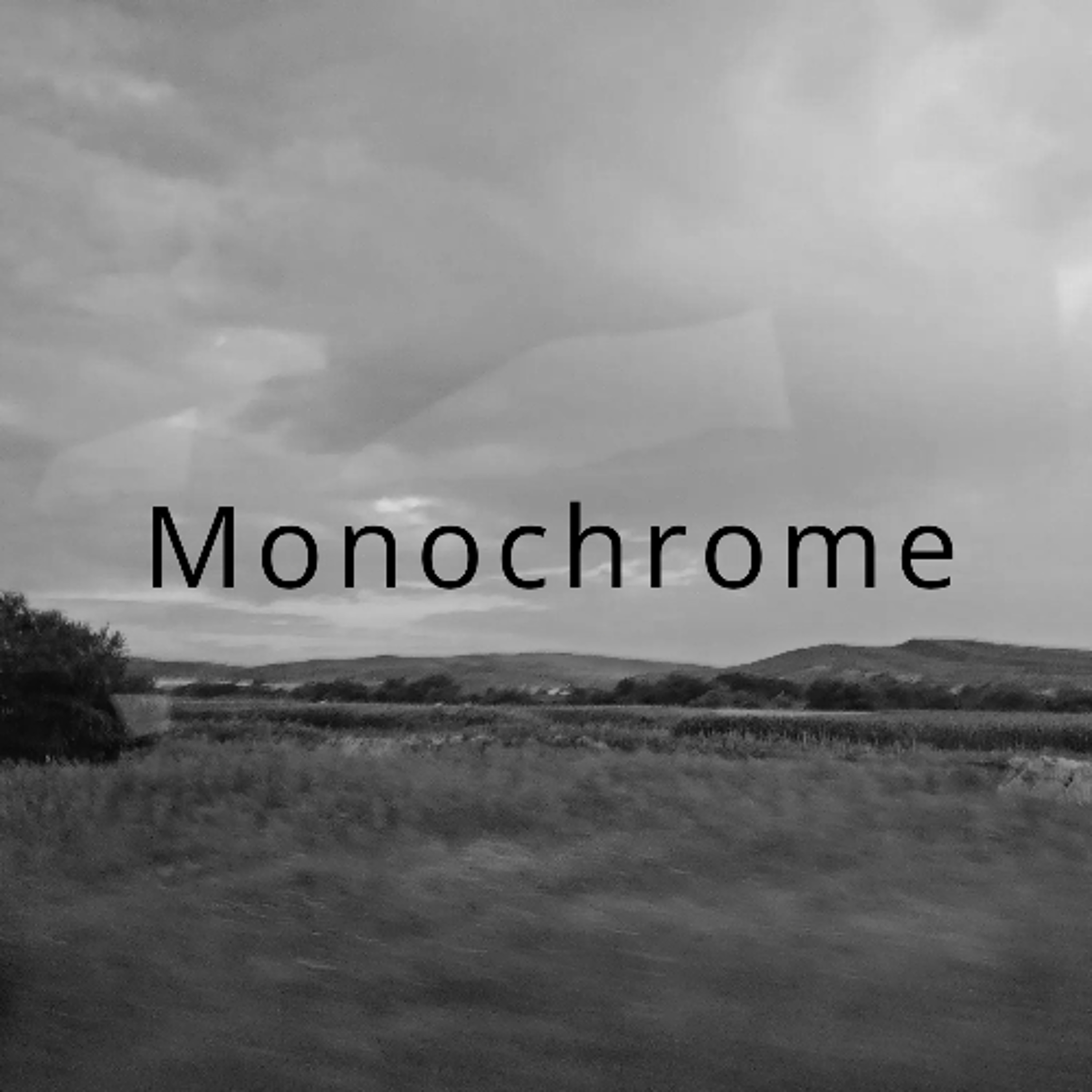 Monochrome