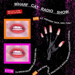 Wharf Cat Records with Public Practice & DJ Drew Redmond @ The Lot Radio 05 - 14 - 2020