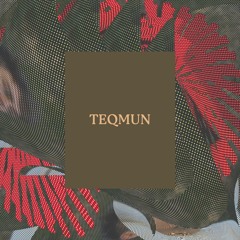 Festimi Podcast 75 - Teqmun