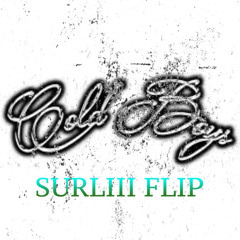 Aerozen - COLDBOYS FREESTYLE SURLIII FLIP