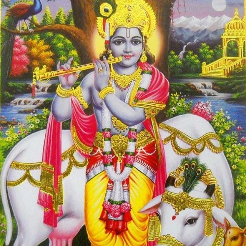 Krishna Kripalu