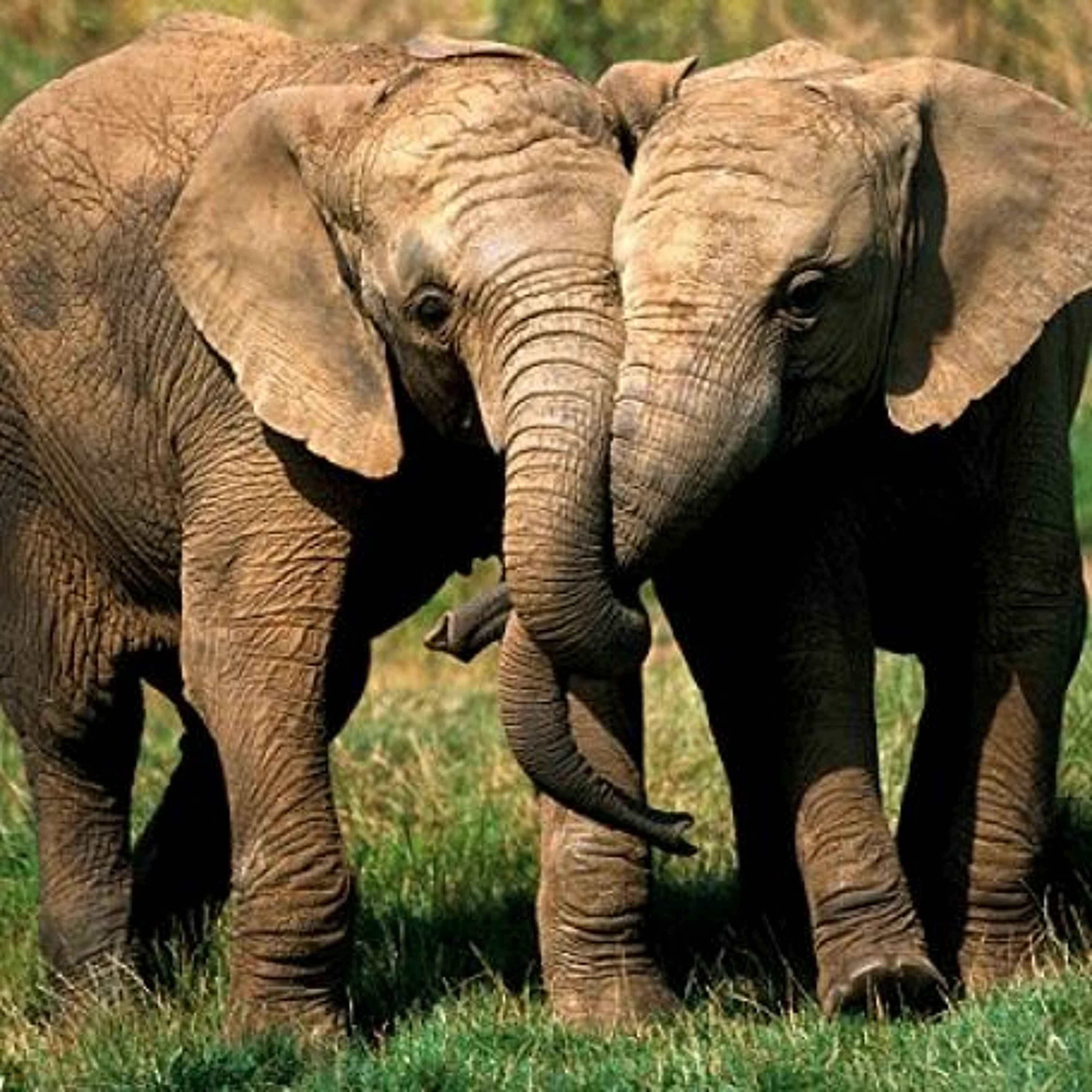 Sanningsministeriet - Sex och sannlevnad