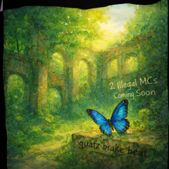 early afternoon:2 illegal mc's comming soon(inst)