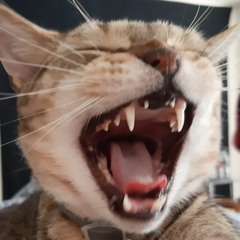 Juice WRLD - Tempted (kontractor's Ray Bans Rework)