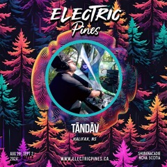 Electric Pines 2024 Tāndāv Music