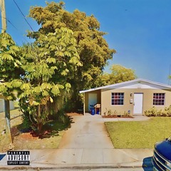 Shani Toin - It’s a Florida Thing