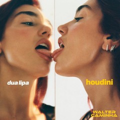 Dua Lipa - Houdini (Walter Caminha Remix) BUY WAV