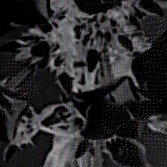 Echo to Infinity