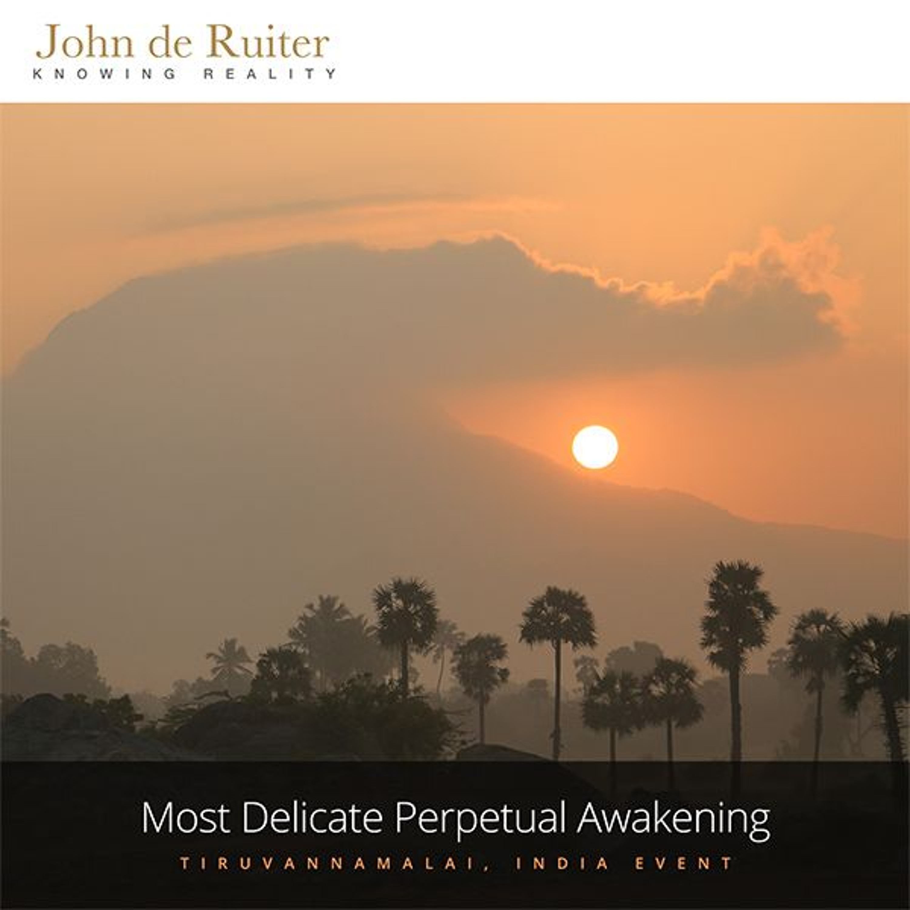 221 - Most Delicate Perpetual Awakening - 2 of 6 episode artwork