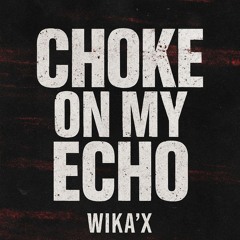 Choke on My Echo