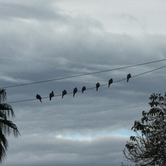 Real ones prod. Meutry