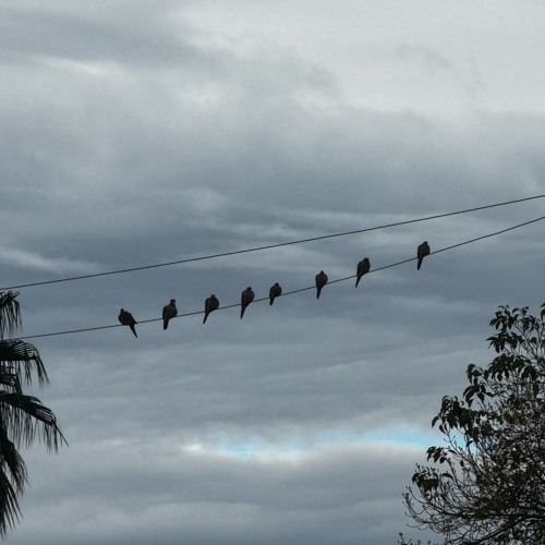 Real ones prod. Meutry