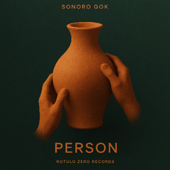 Sonoro Gok - Person (Original Mix)