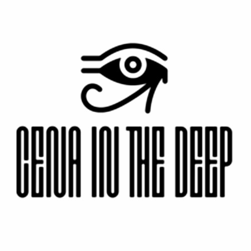 Cena In The Deep (Mini Mix - Vol - 2 - Bass warning)