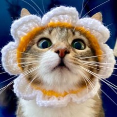 mr disaster - marci (juuhnn cover)