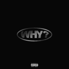 WHY? (prod. Valious)