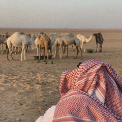 يابيشان   .  الوليد ال عامر  بطيئ