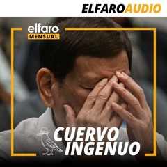 Cuervo ingenuo | Pedito de viejo