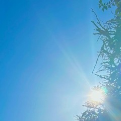 I Can Feel Again [pre-winterdepression]