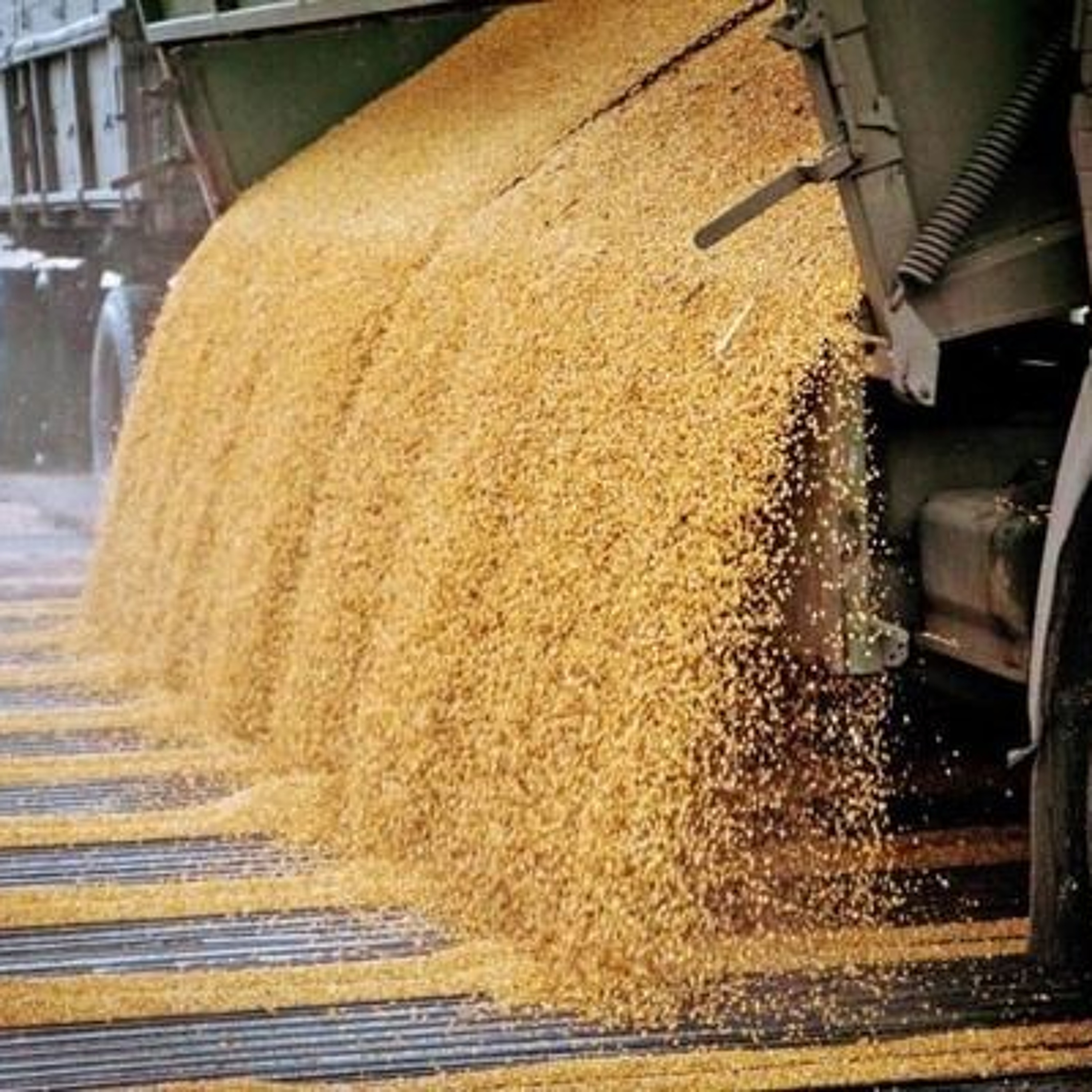 Як російські обстріли вплинули на експорт агропродукції з України: розповідає експерт episode artwork