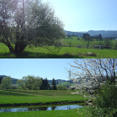 manno (prod.  bayergartner)