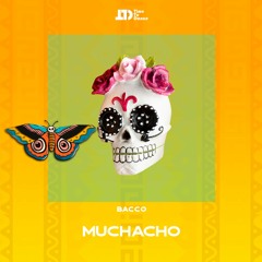 Bacco (BR) - Muchacho (Original Mix)