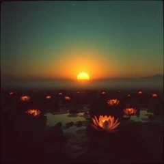 Embers Rising