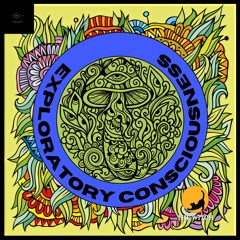 The Divine Mother Spirit (Original Mix)