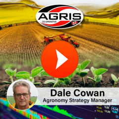 June 17, 2025 - Noon Agronomy Report