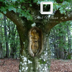 Rob Nilsson - Kodama - Tree Spirit (Original Mix)