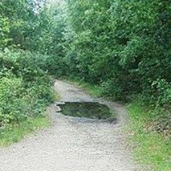 день знаний