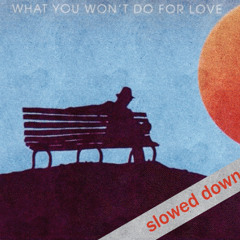 What You Won’t Do for Love – Slowed + Pitch Shifted