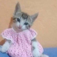 ෆ⁠╹⁠ ⁠.̮⁠ ⁠╹⁠ෆ