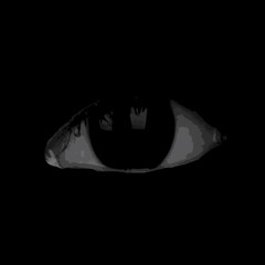 Introspect the nullity