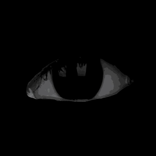 Introspect the nullity