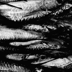 Mr. Dello - 4th Dimension (Original Mix) [TRM175]