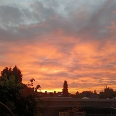 I don't think you'll understand