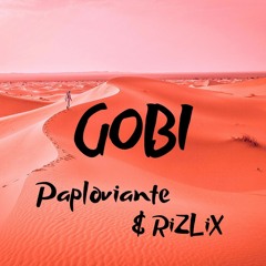 Paploviante & RiZLiX - Gobi