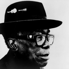 THE BIG FUNKY BEAT (MR.JOHN LEE HOOKER IS IN THE FUNK MIX)