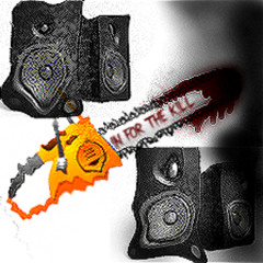 !N FOR THE K!LL - phoenix fj