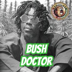 Peter Tosh Bush Doctor Mixtape