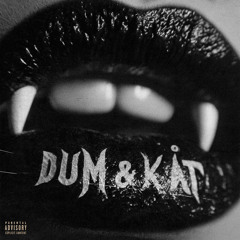 DUM & KÅT