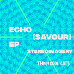 Echo (Savour)  - Stereoimagery