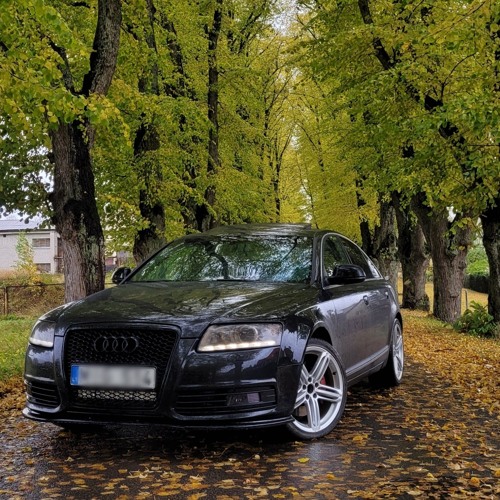 Баста - 8800