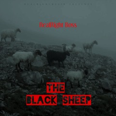 Black Sheep
