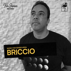 MUSIC FOR SENSES PODCAST #004 || BRICCIO