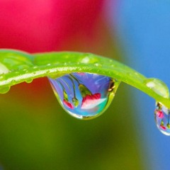 Xavier Wulf x ForThaThrill - Morning Dew (Thrill Mix)