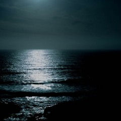 🌊