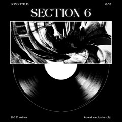 SECTION 6 [CLIP]
