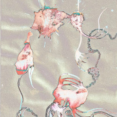 Hora Massa - Time Zone (live)